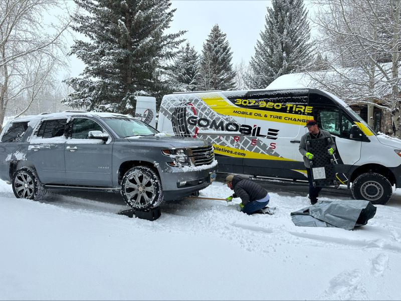Gomotires in the Snow